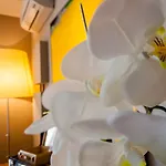橡木贝尔维蒂利里莱丝酒店 *