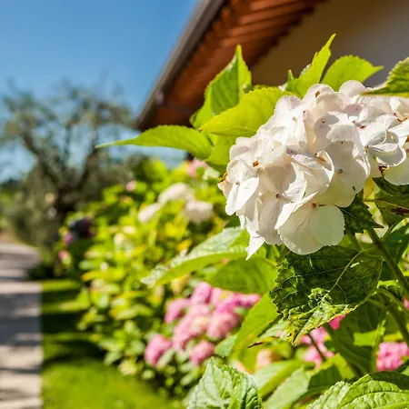 Quercia Belvedere Relais Bardolino