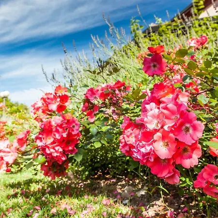 Quercia Belvedere Relais Bardolino