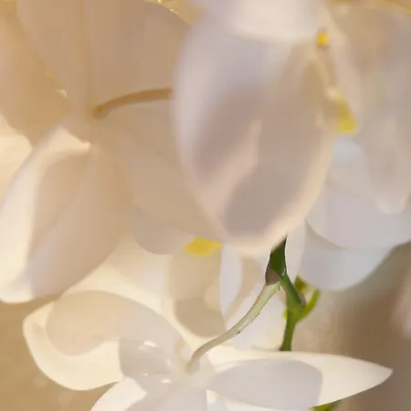 Quercia Belvedere Relais 팜스테이 *