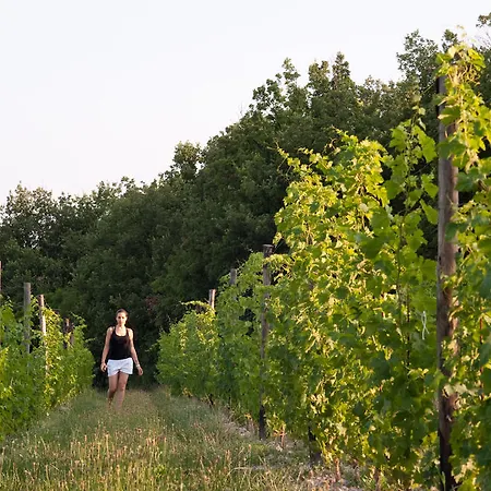 Farm stay Quercia Belvedere Relais Bardolino