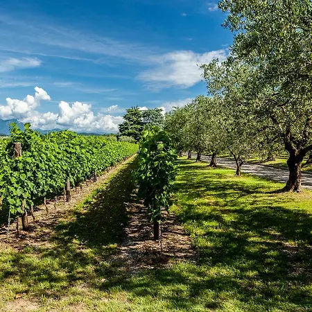 Quercia Belvedere Relais