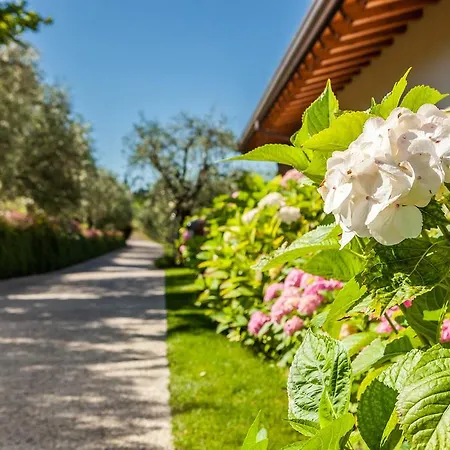 Farm stay Quercia Belvedere Relais *