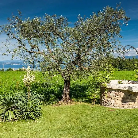 Quercia Belvedere Relais