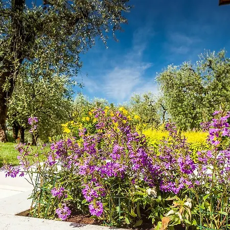 Quercia Belvedere Relais