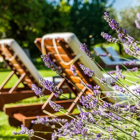 Vakantieboerderij Quercia Belvedere Relais