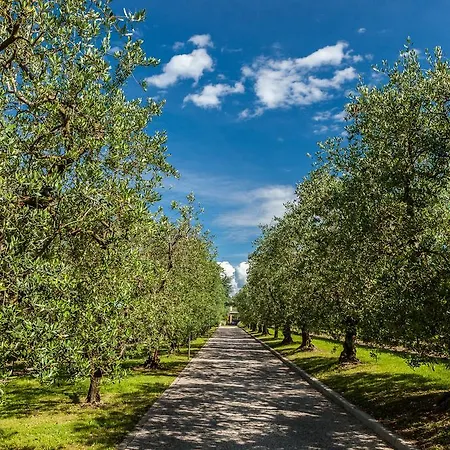 Quercia Belvedere Relais Farm stay *