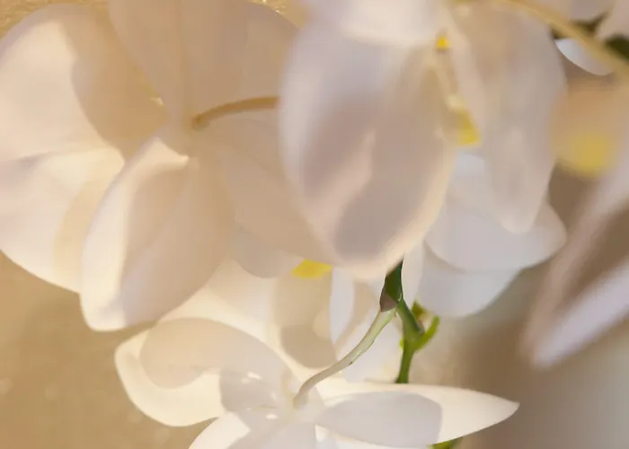 Quercia Belvedere Relais 팜스테이 *