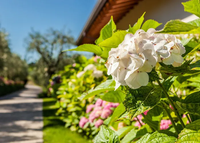 Quercia Belvedere Relais 바르돌리노